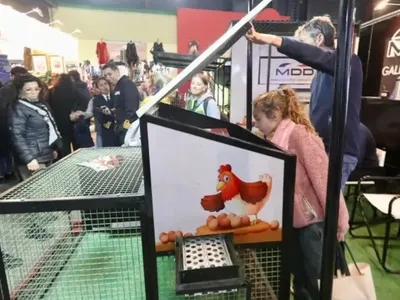 Expo Rural: "gallineros con ruedas" para gallinas más felices