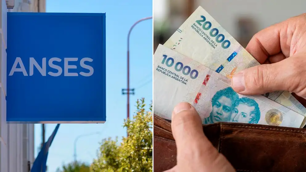 ANSES - 1