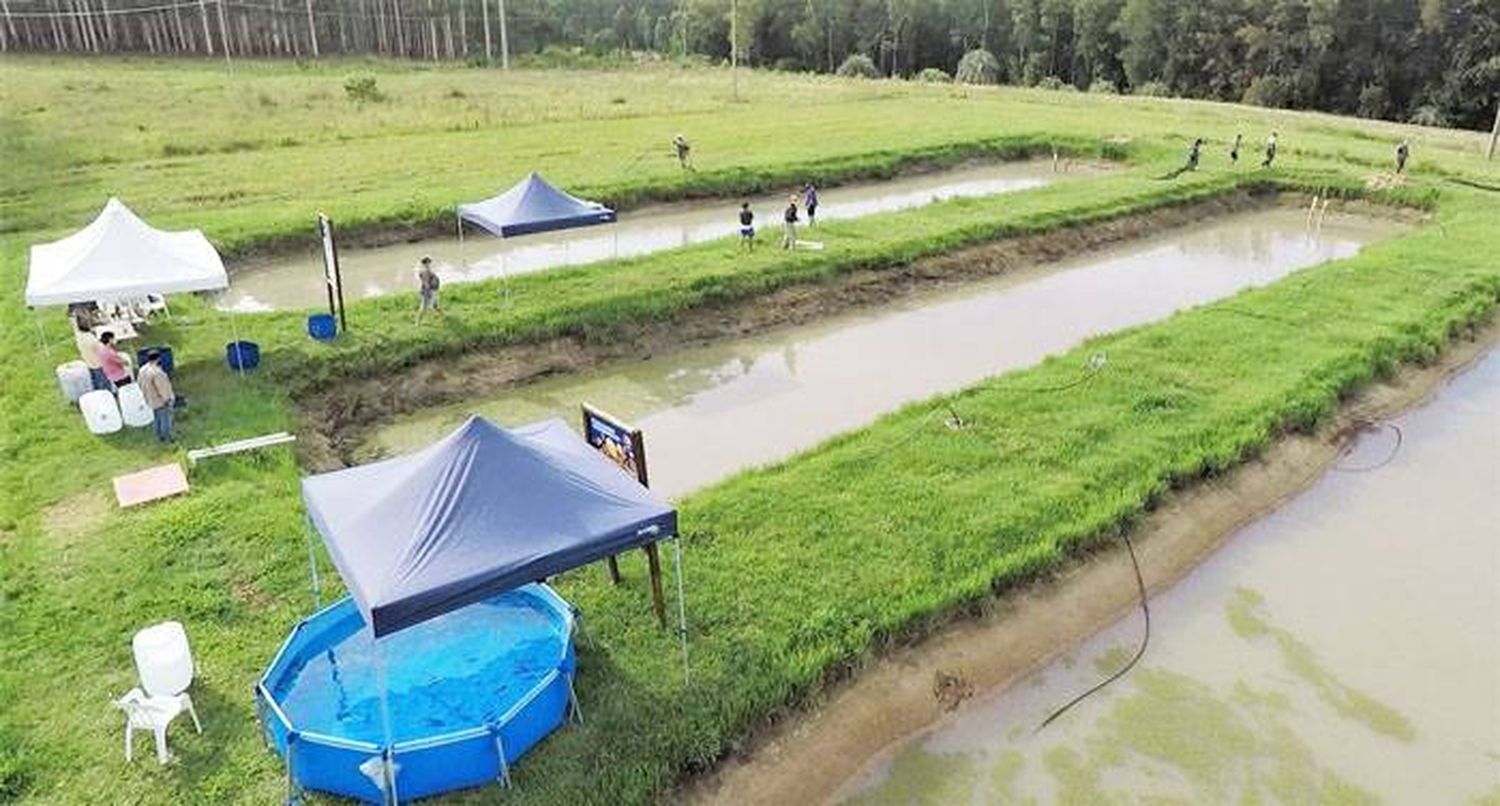 2ª Jornada de Producción de Peces en la  región de Salto Grande