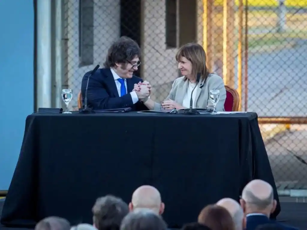 Cuáles son los principales del proyecto de reforma del Código Penal que presentó Javier Milei