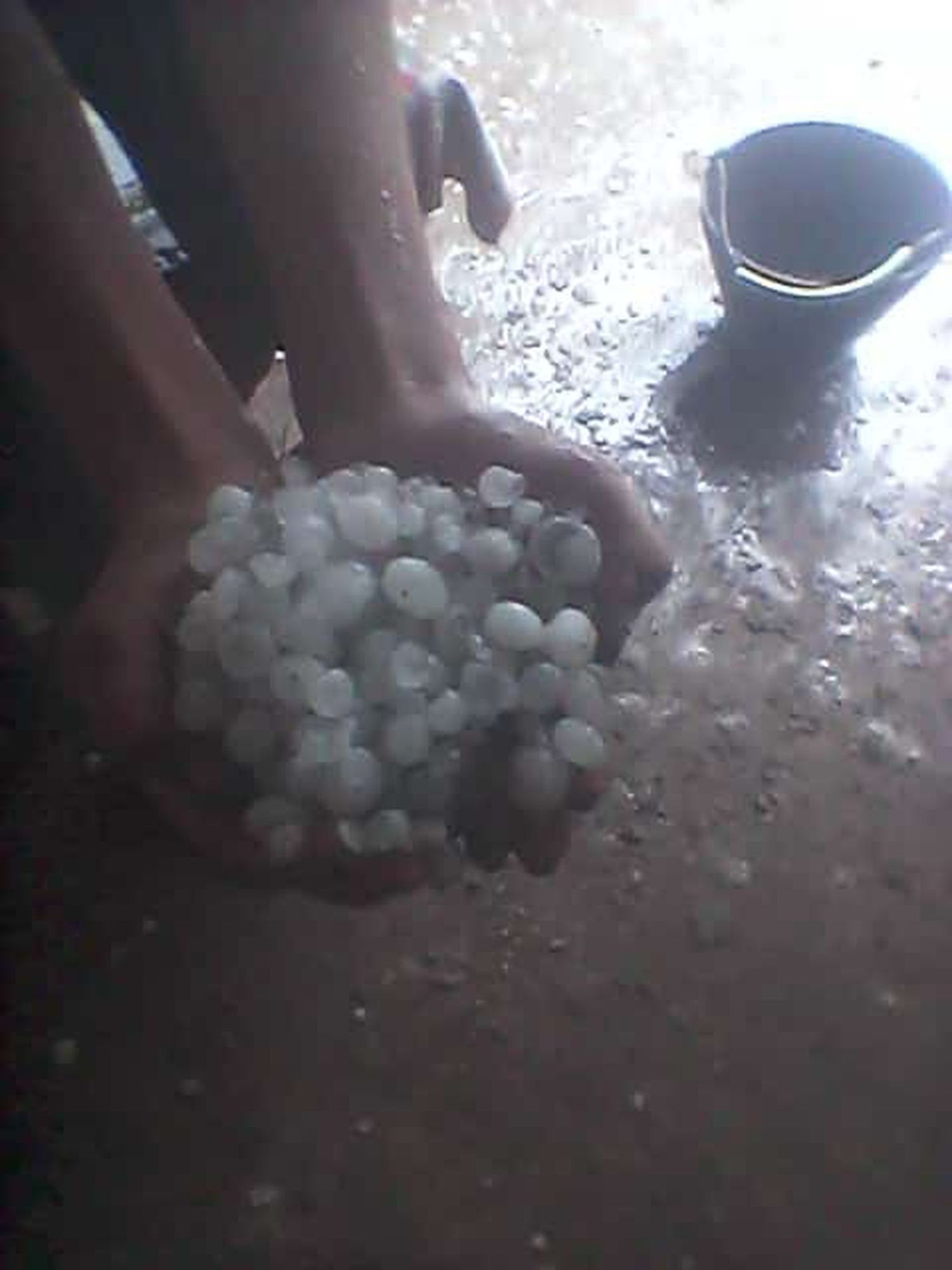 Cultivos en peligro por la sequía y el agua cayó como piedra