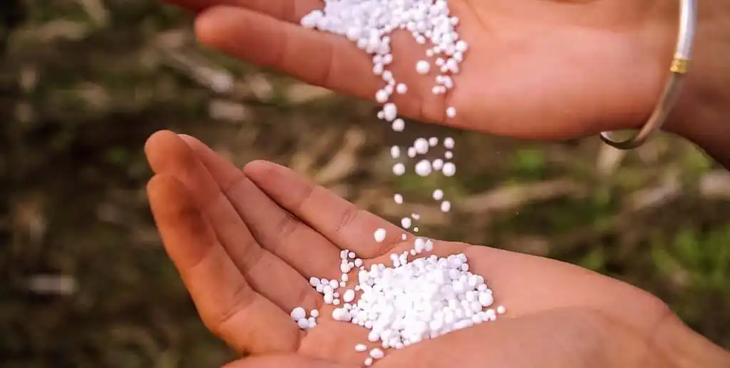 En términos de valor, las importaciones de fertilizantes totalizaron US$ 1.926 millones entre enero y octubre del 2025.