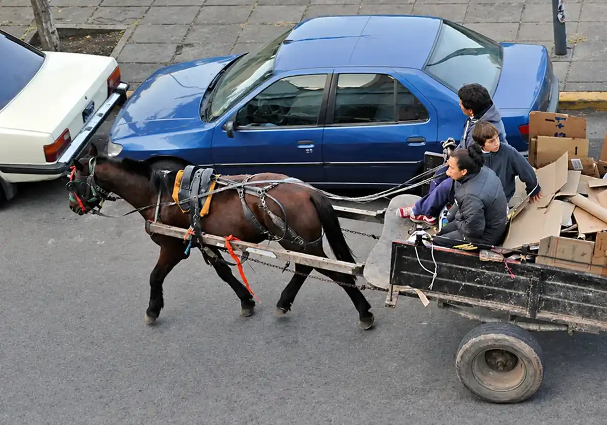La presencia de carreros en la vía pública forma parte de un debate que enfrenta posturas sobre el trabajo de recuperación urbana, el bienestar animal y la regulación estatal.