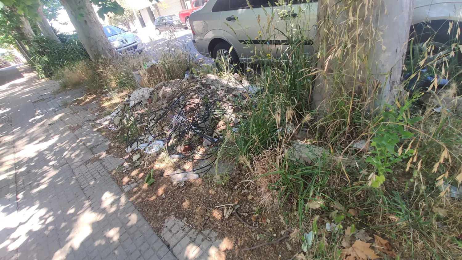En calle 63, entre 56 y 58