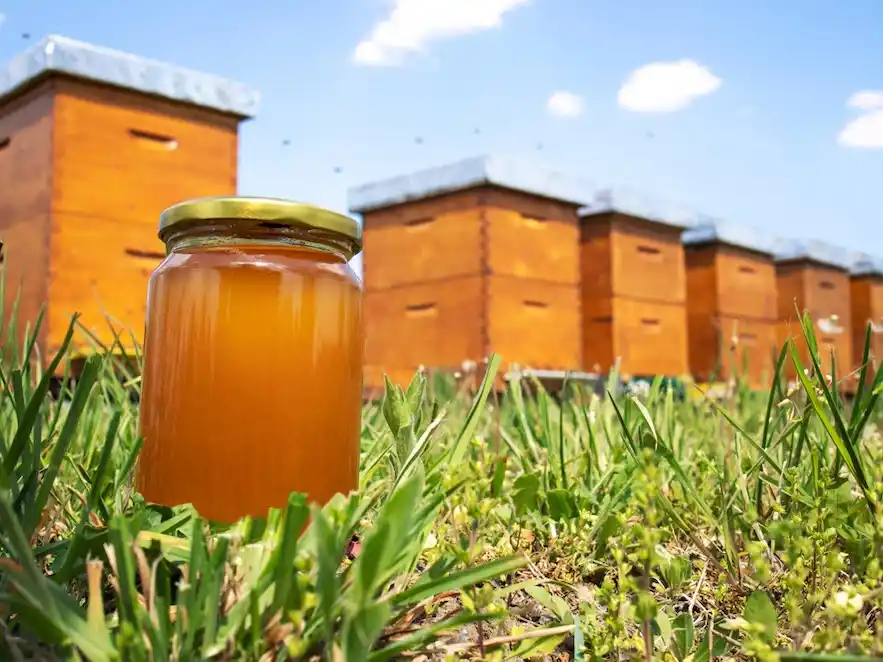 La trazabilidad logística impulsa el vuelo exportador de la miel argentina