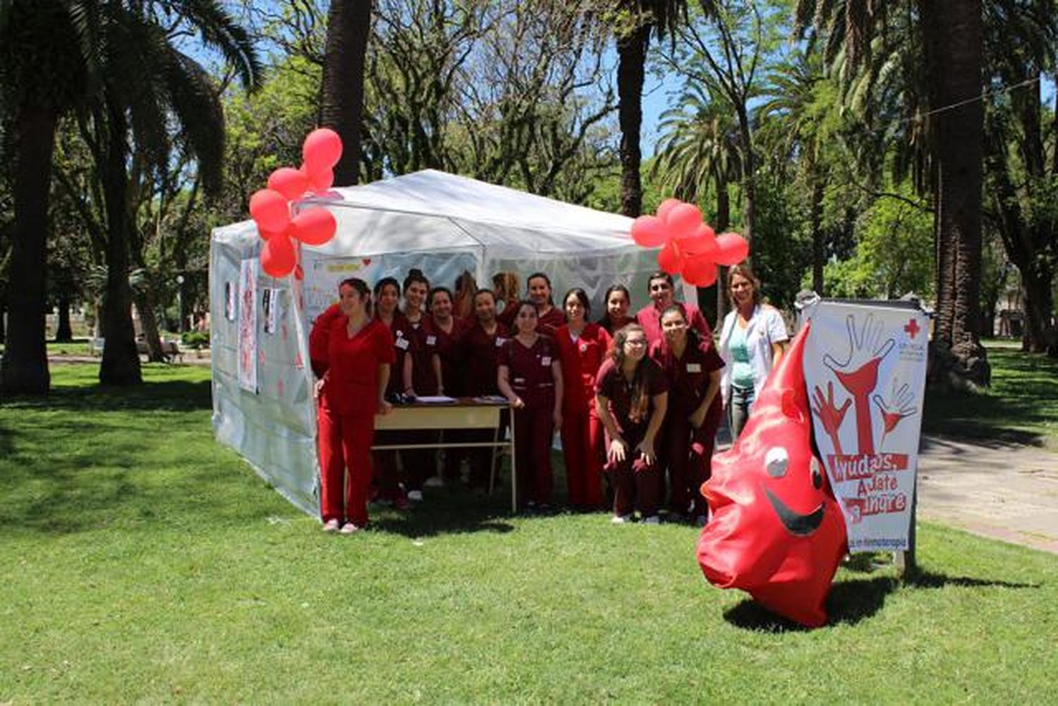 Cruz Roja promocionó la donación de sangre