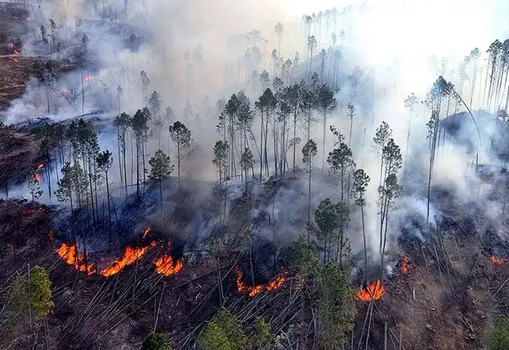 Córdoba combate un enorme incendio fuera de control