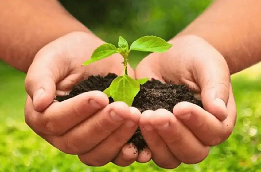 La producción agroalimentaria argentina ante un nuevo paradigma