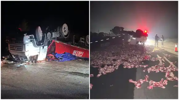Un camión de Coto volcó en la Ruta 6 y terminó con su carga de huesos y sebos vacunos desparramados en la banquina