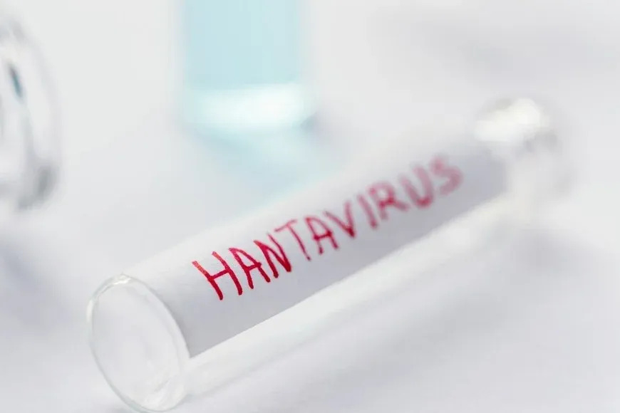 Las autoridades sanitarias de Mar del Plata confirmaron este miércoles el primer fallecimiento por hantavirus