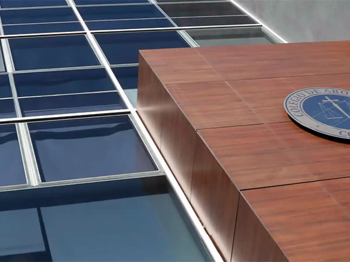 Colegio de Abogados de Córdoba tildó de "inconstitucional" el proyecto de aborto 