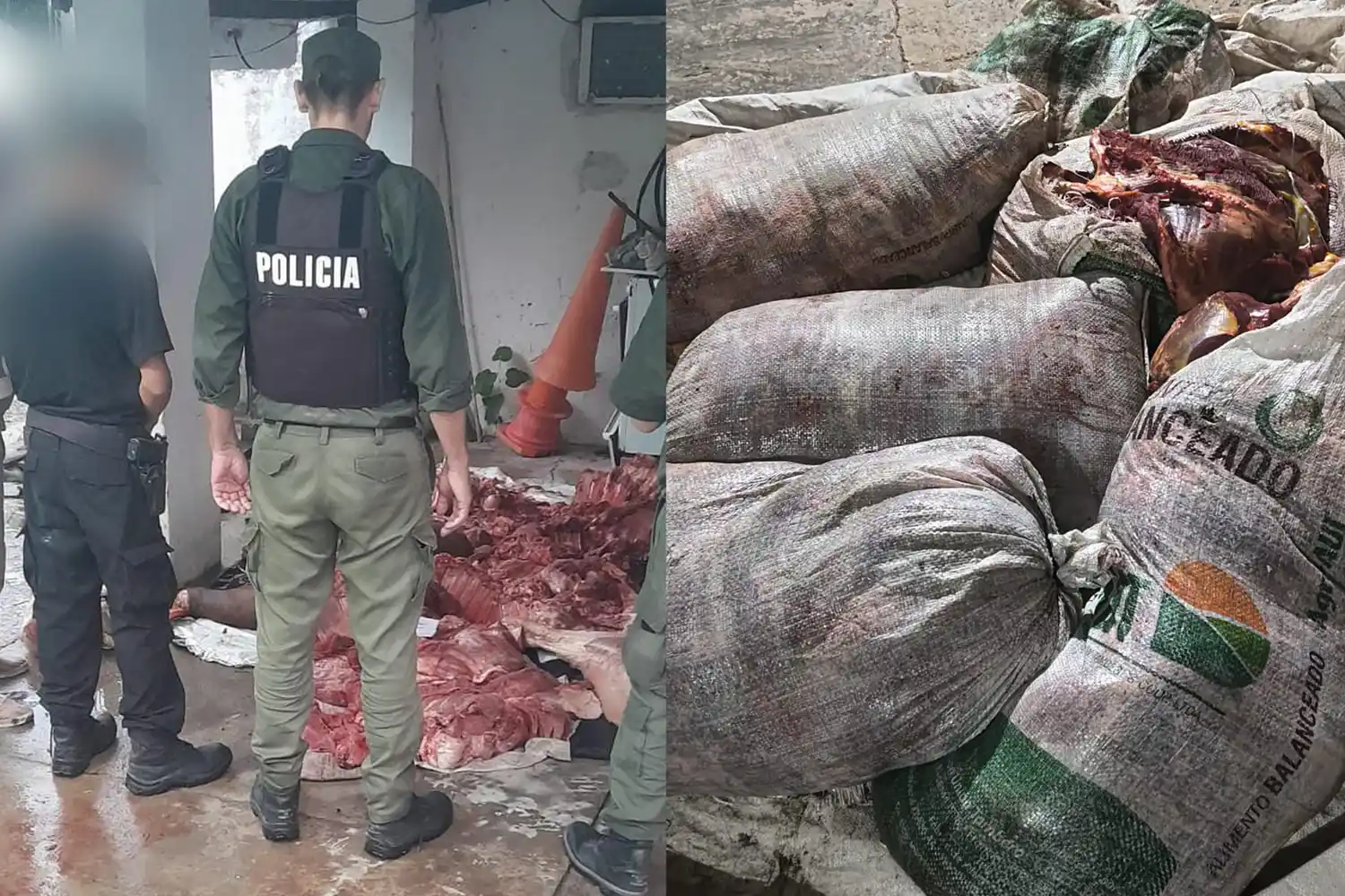 Detuvieron a un hombre por abigeato y secuestraron más de 570 kilos de carne vacuna