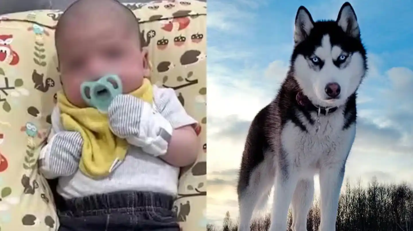 Conmoción en Tennessee.