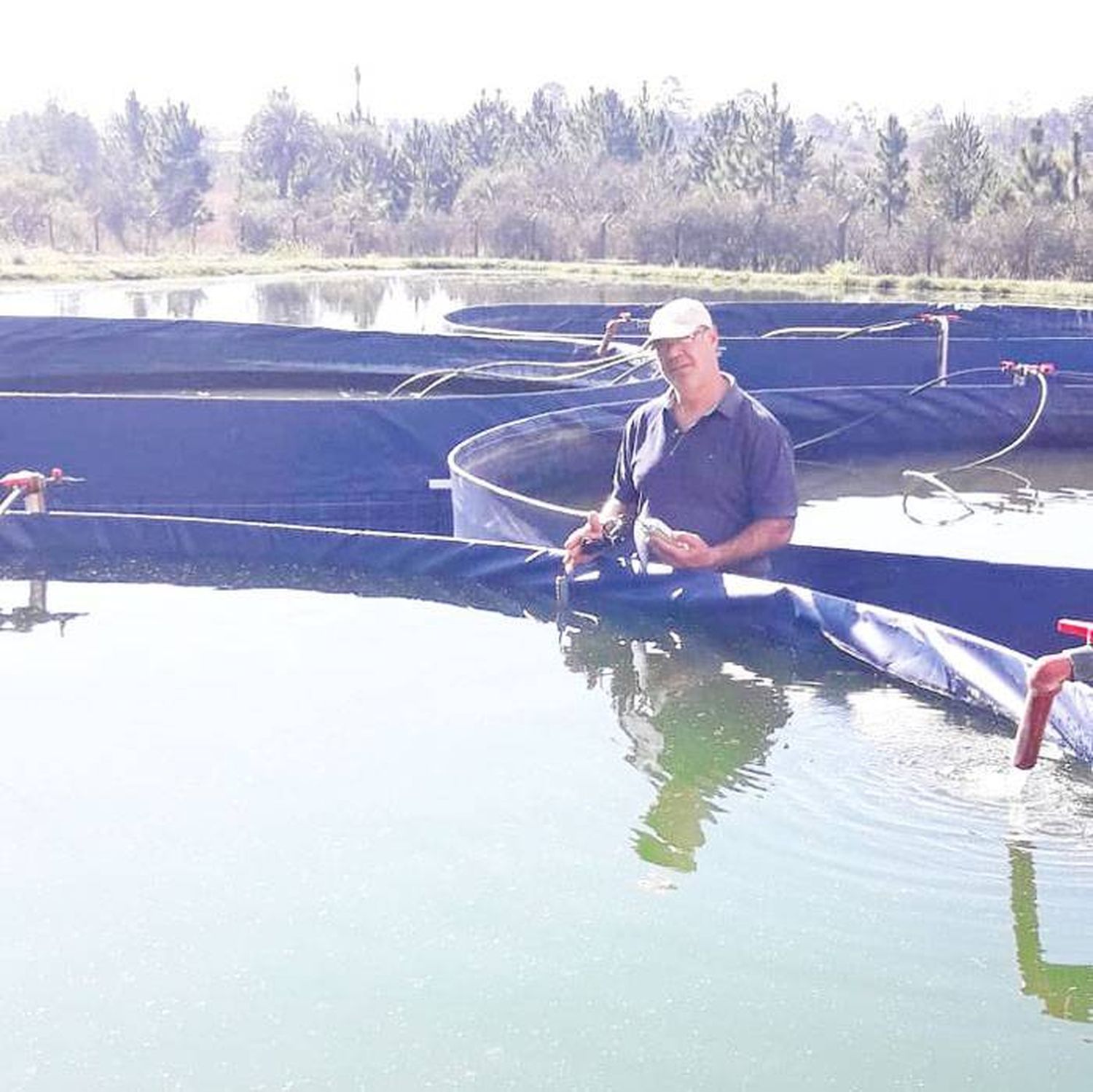 El uso del agua termal en el criadero de pacú