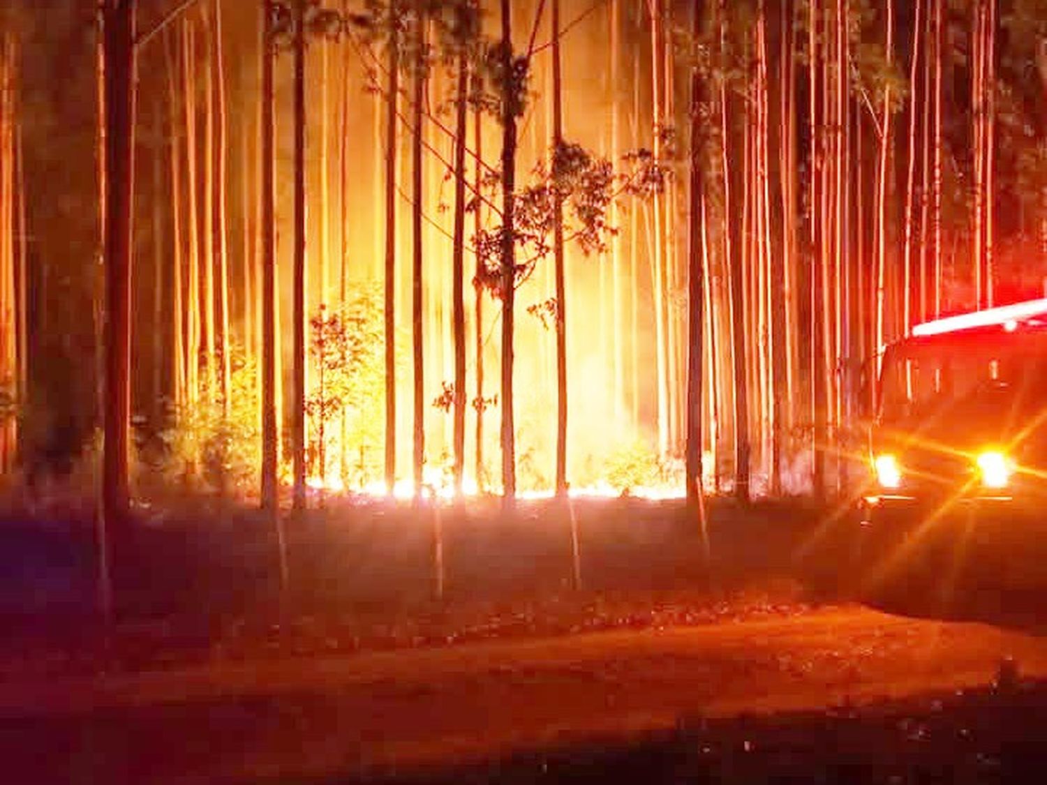 Tercer día de incendios forestales en la zona de la Ruta Provincial 4