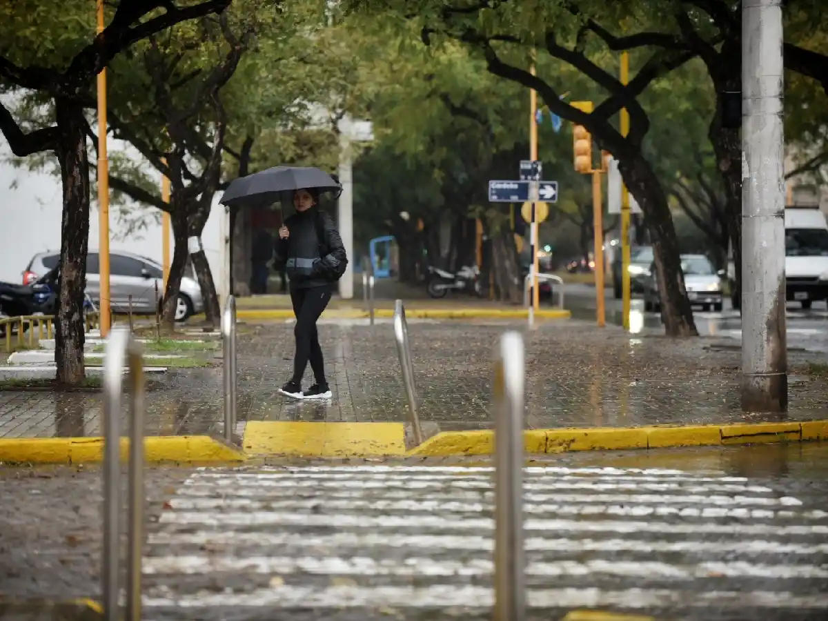 Al fin llovió: un “pequeño respiro” pero que no corta la sequía         