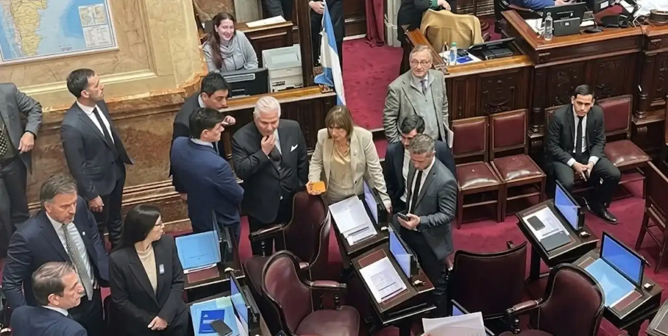 Sin reunir los votos necesarios para su tratamiento, el proyecto de Ley de Inviolabilidad de la Propiedad Privada quedó en suspenso en la última sesión del Senado. Ahora volvería al recinto el 6 de agosto. Foto: Archivo.