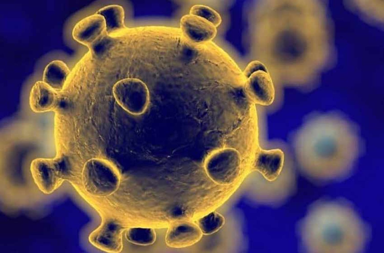 Coronavirus: cuándo terminará la pandemia en la Argentina, según un grupo de especialistas