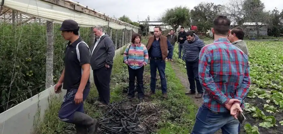 Extenderán la línea de créditos blandos a productores frutihortícolas