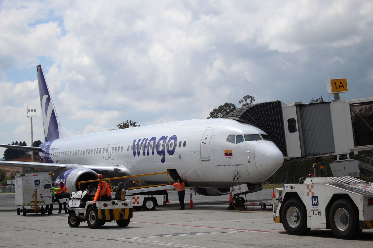 Wingo espera transportar 400 mil pasajeros para la temporada alta de fin de año