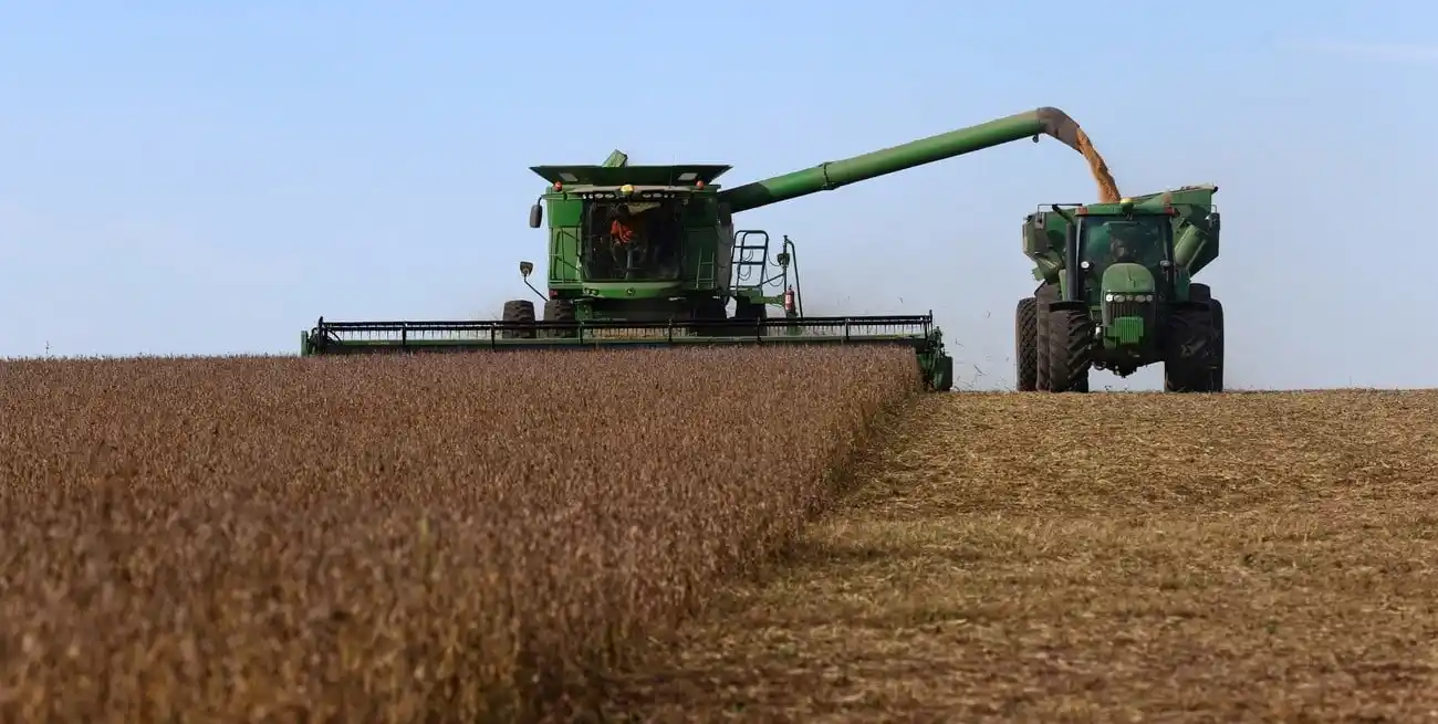 La producción total de granos en la 2025/26 podría alcanzar 146,4 Mt, un 6% más que el volumen total obtenido en la campaña previa.