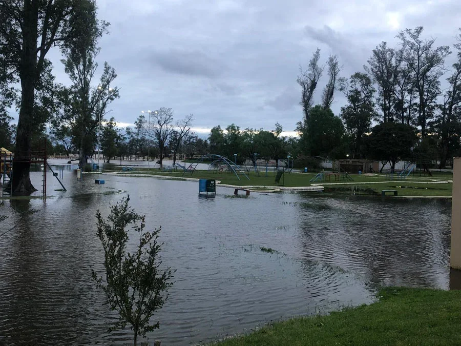 Miniatura de imagen 18
