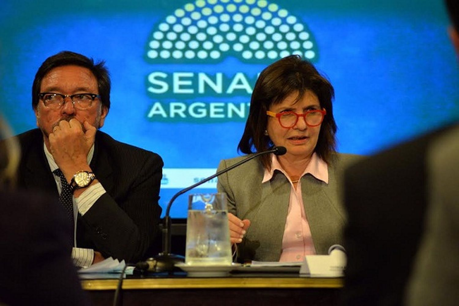 El Senador Guastavino recibió a la ministra Bullrich