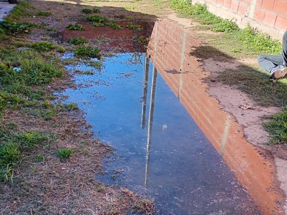 Cloacas rebalsadas en Liniers 2300