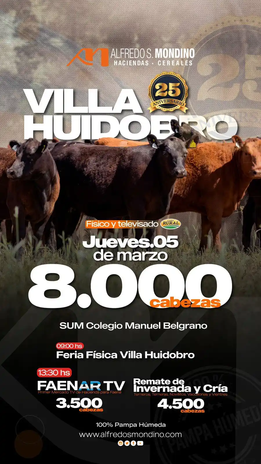 mondino huidobro
