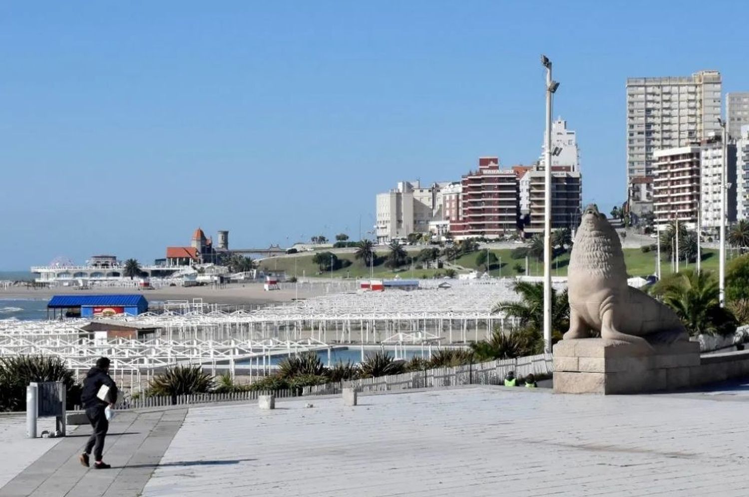 Invasión de mosquitos en la Costa Atlántica