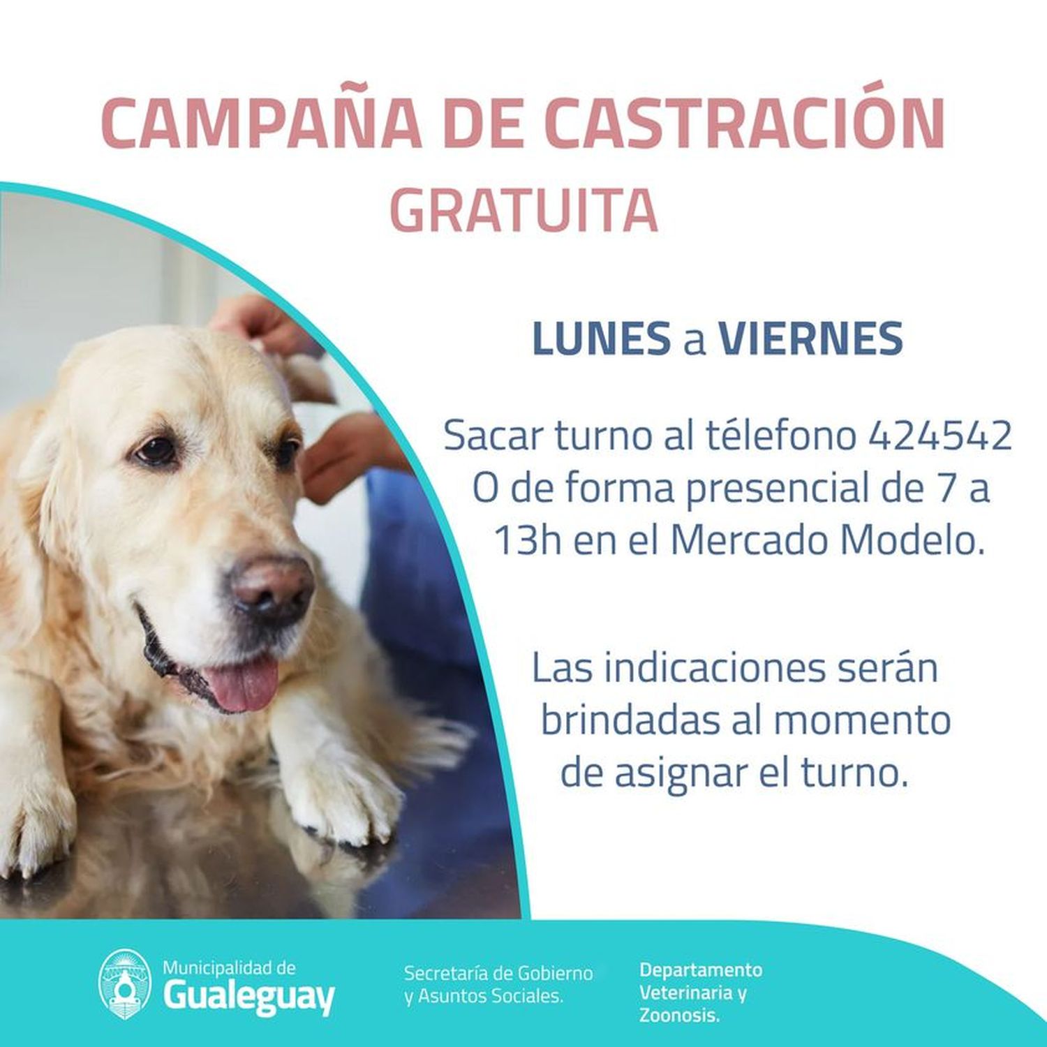 Zoonosis: realizan castración gratuita