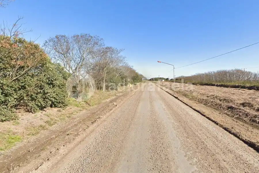 Se les rompió una rueda y terminaron con la camioneta en el campo: una mujer salió despedida