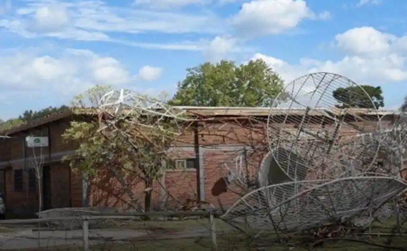 La antena que causó la muerte del animal 