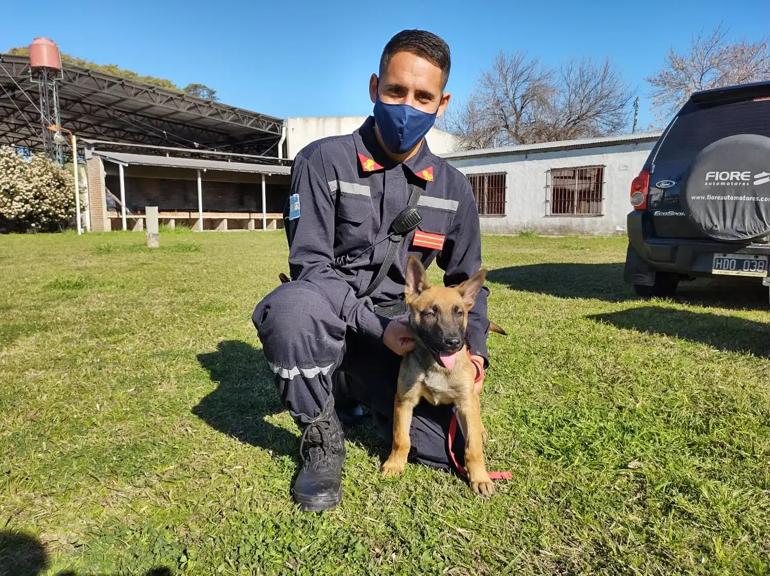 Quién es “RIT”, el nuevo perro de rescate de Bomberos Voluntarios de San Pedro