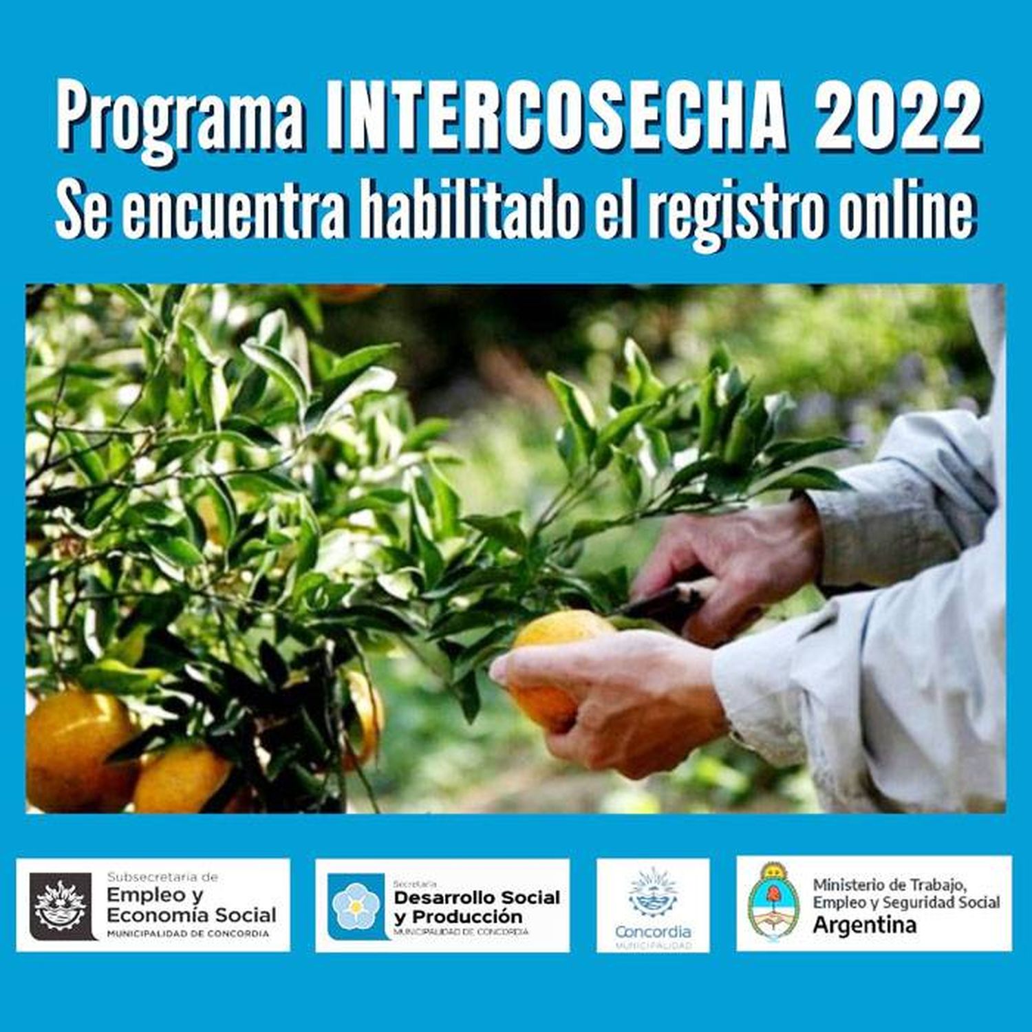 Registro al programa  Intercosecha 2022