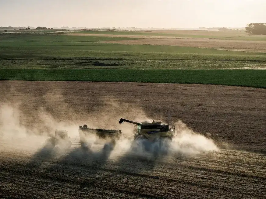 El cultivo de trigo sigue siendo uno de los principales productos exportados a Brasil.