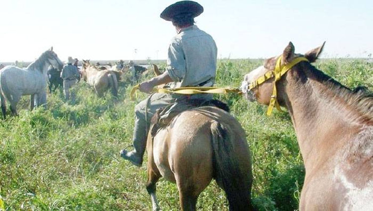 Rafael Sagasti: �SLos productores de la isla cuidamos y somos guardianes del  lugar donde trabajamos y vivimos⬝