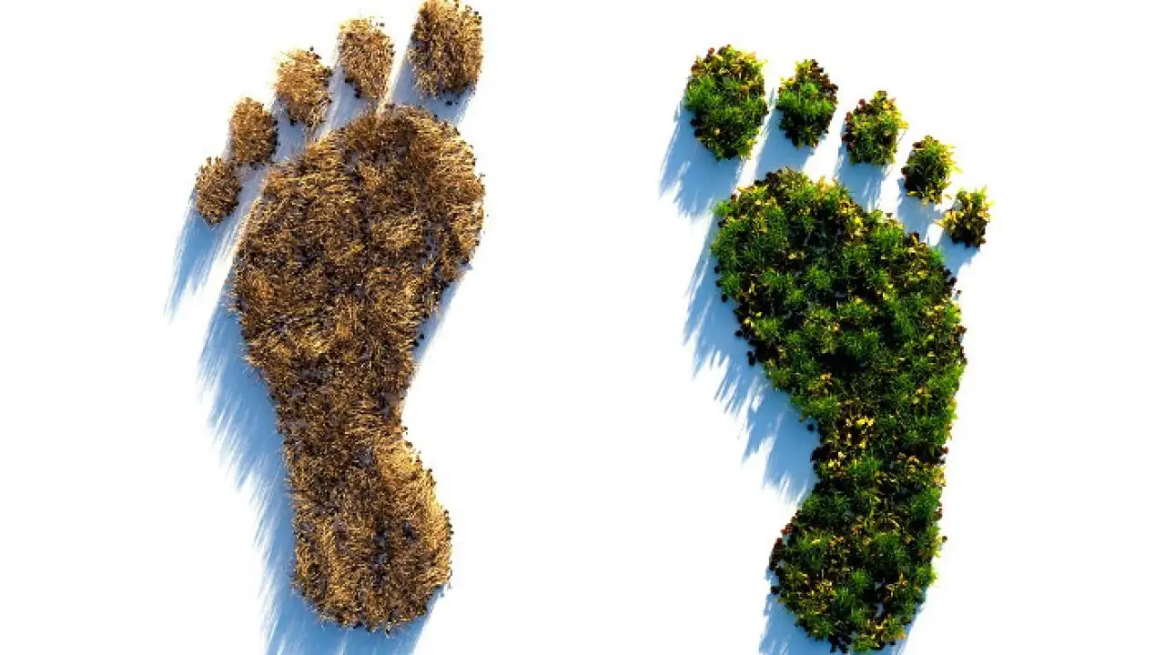 La Huella Ecológica