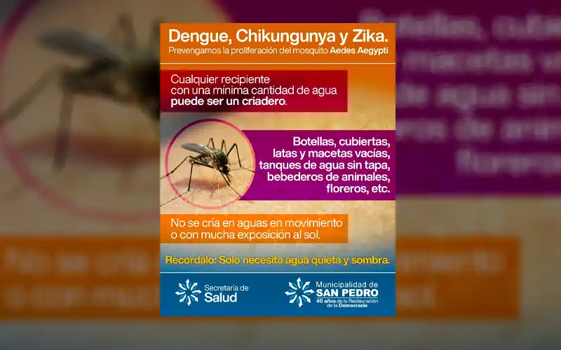Recomendaciones para prevenir el dengue