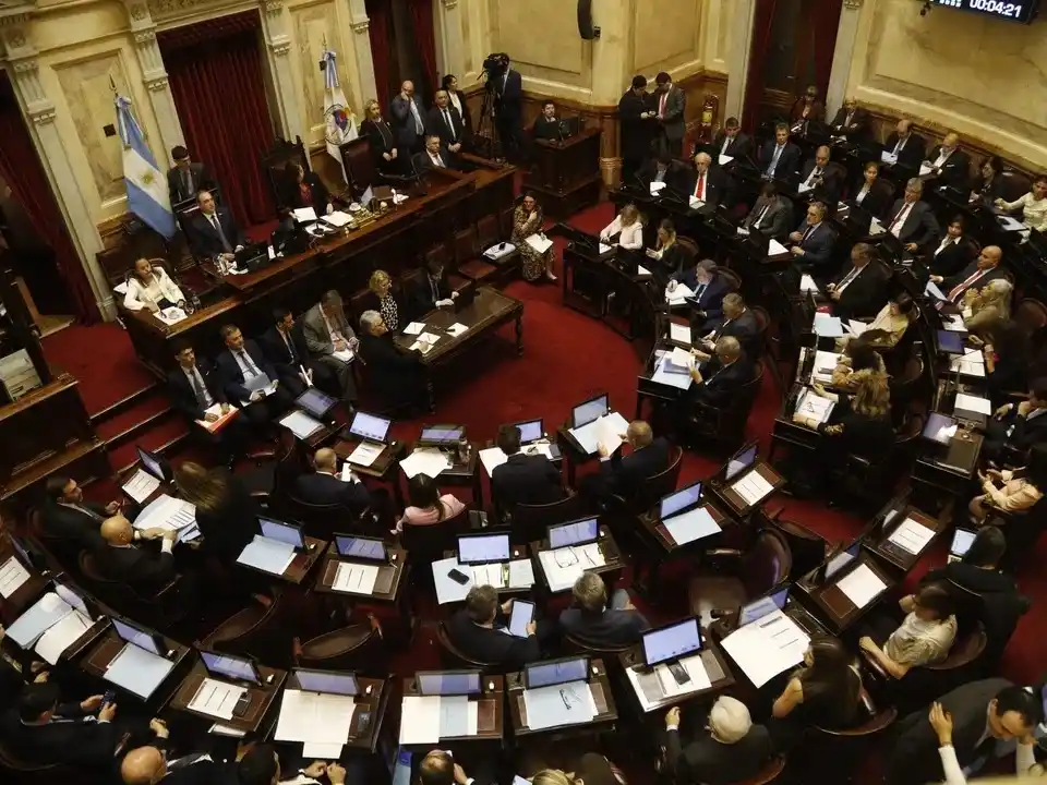 El Senado nacional debatirá los vetos en Garrahan y universidades