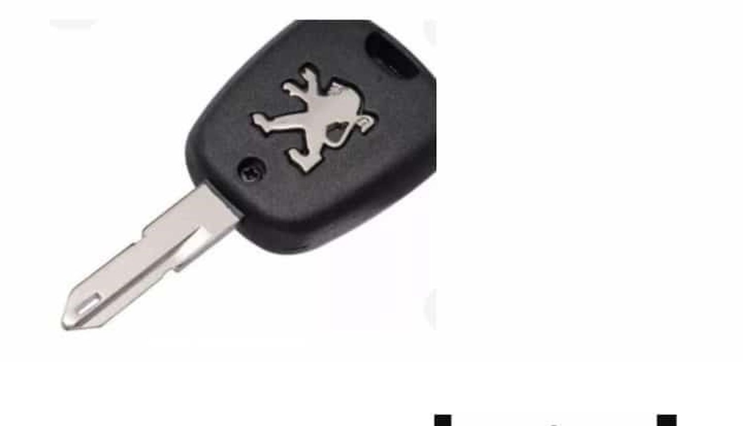 Busca la llave de su auto