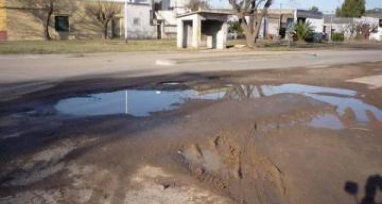 Homenaje al bache