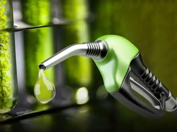 La Secretaría de Energía autorizó la primera suba del año en el valor del biodiesel