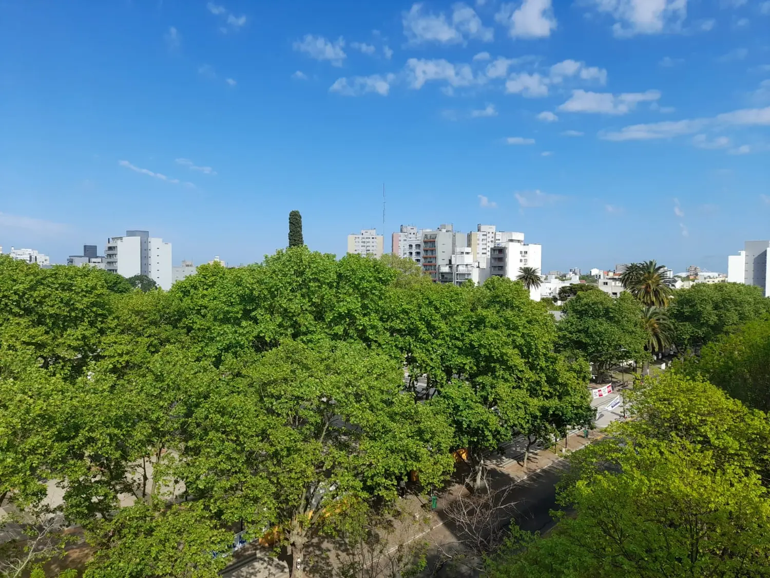Buen clima en el fin de semana largo.