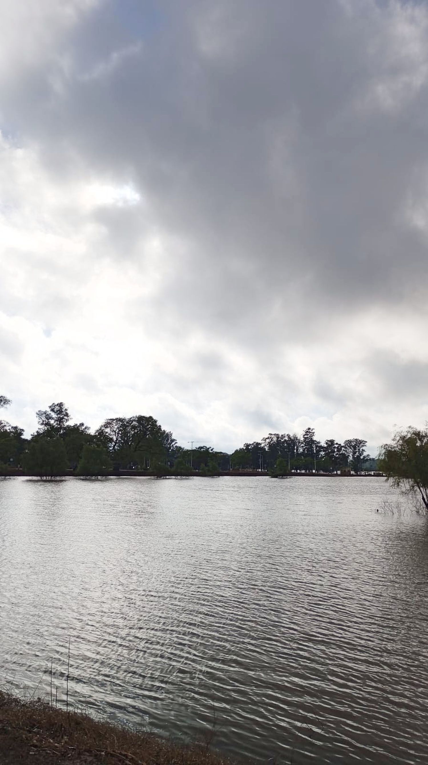 El río ya está en los 10 metros frente al puerto local