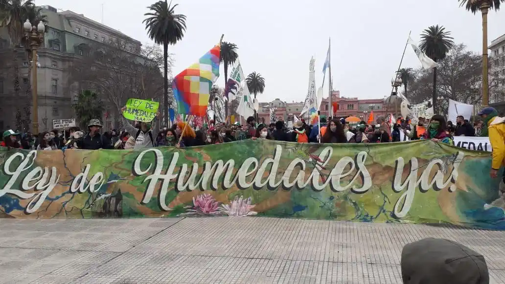 Ley de Humedales: presencia sampedrina en la manifestación en el Congreso