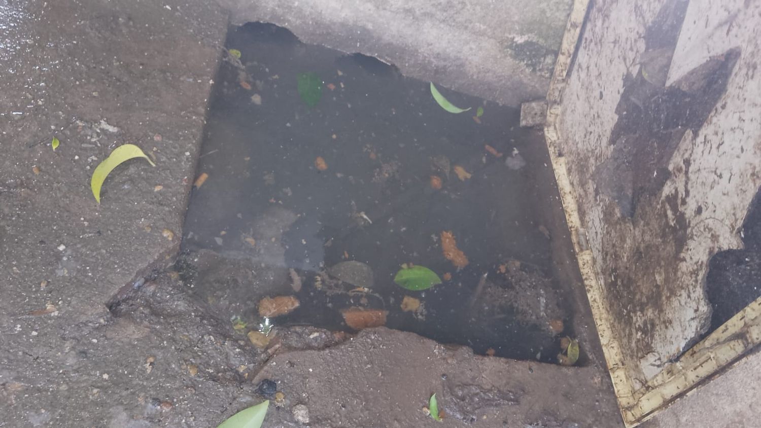 Cloaca Humanes 1600
