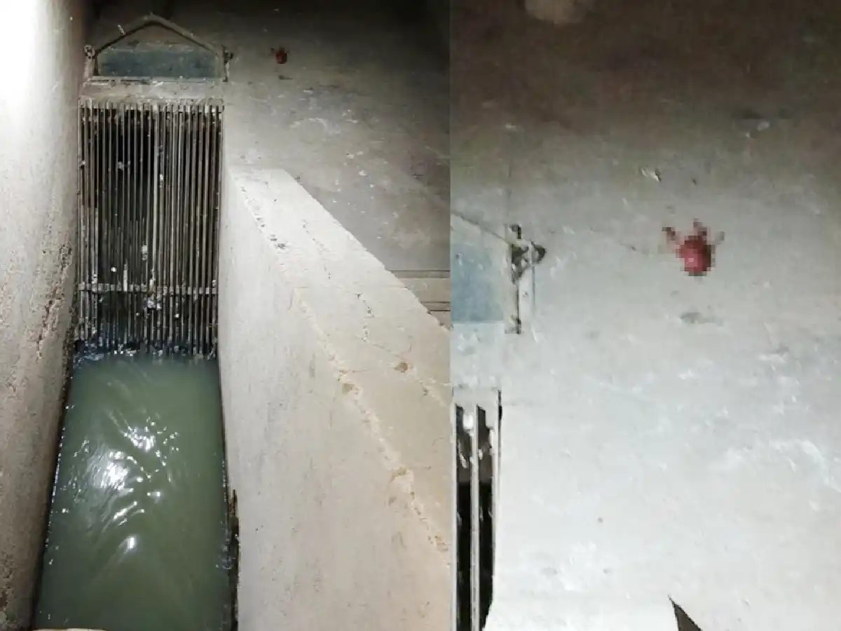 Investigan si el feto hallado en el basural es producto de un aborto 