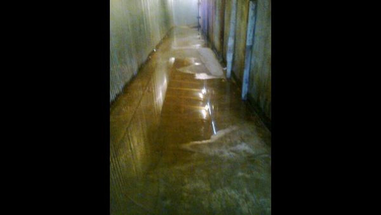 "Escuela túnel" en La Plata: Entran al colegio por una fosa ubicada en la casa del vecino 