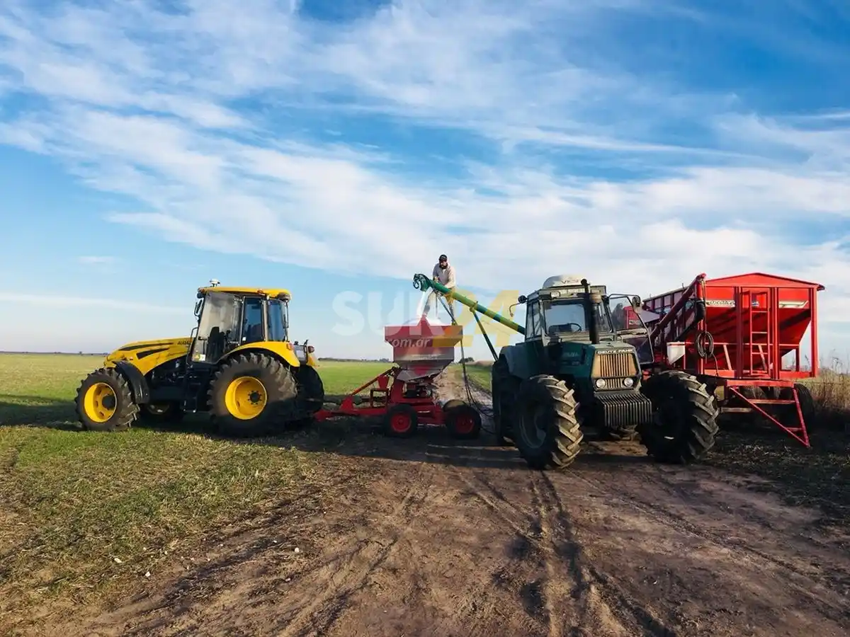 Fertilización: cómo evitar pérdidas de 20 quintales en trigo